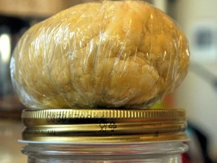 Cannelloni mit Kalbfleisch-Kräuterseitlings-Füllung - Rezept - Bild Nr. 3