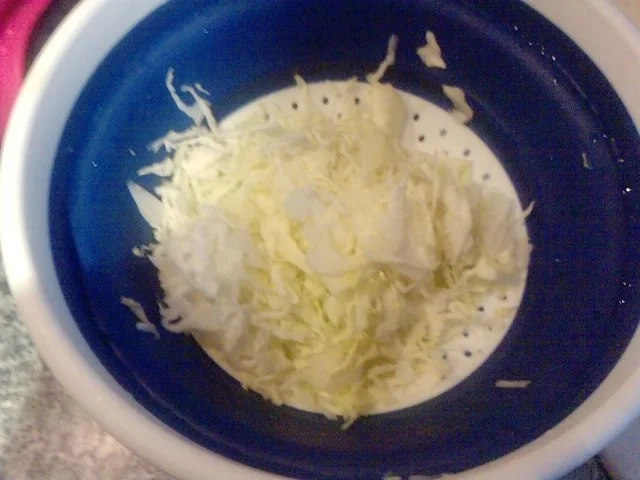 MAGYAREN – PFANNE -- SZEGEDIN FANTASIA // SCHASCHLIKPFANNE OHNE SPIESSE - Rezept - Bild Nr. 8