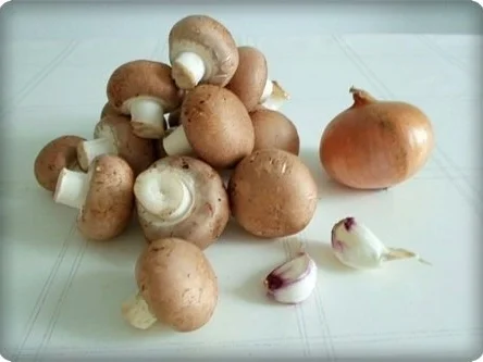 Rezept: Cremige Champignon Suppe Bild Nr. 4 Cremige Champignon Suppe - Rezept - Bild Nr. 4