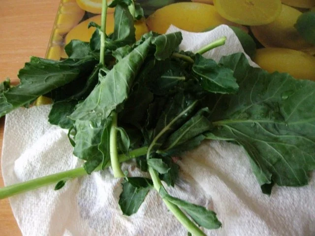 Kohlrabi-Apfel-Frischkäsesuppe - Rezept - Bild Nr. 9