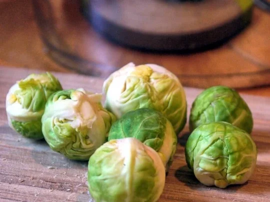 Glasierter scharfer Rosenkohl - Rezept - Bild Nr. 2