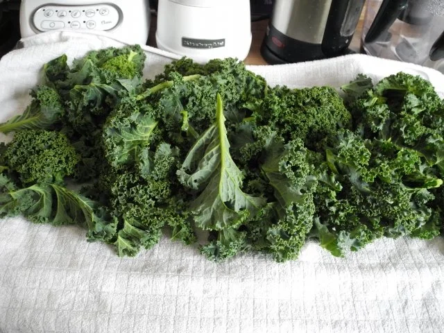 Gemüsebeilage : Grünkohl - voll vegan :-) - Rezept - Bild Nr. 3