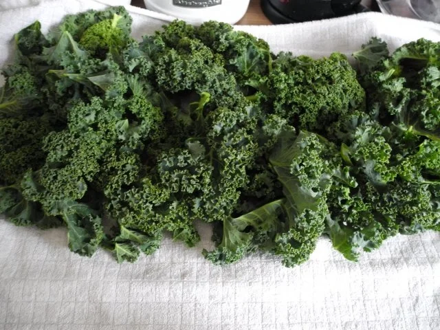 Gemüsebeilage : Grünkohl - voll vegan :-) - Rezept - Bild Nr. 4