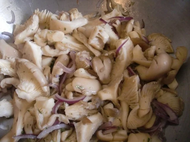 Austernpilze mit Möhren - Rezept - Bild Nr. 5