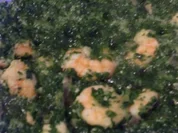 Garnelen mit Spinat - Rezept