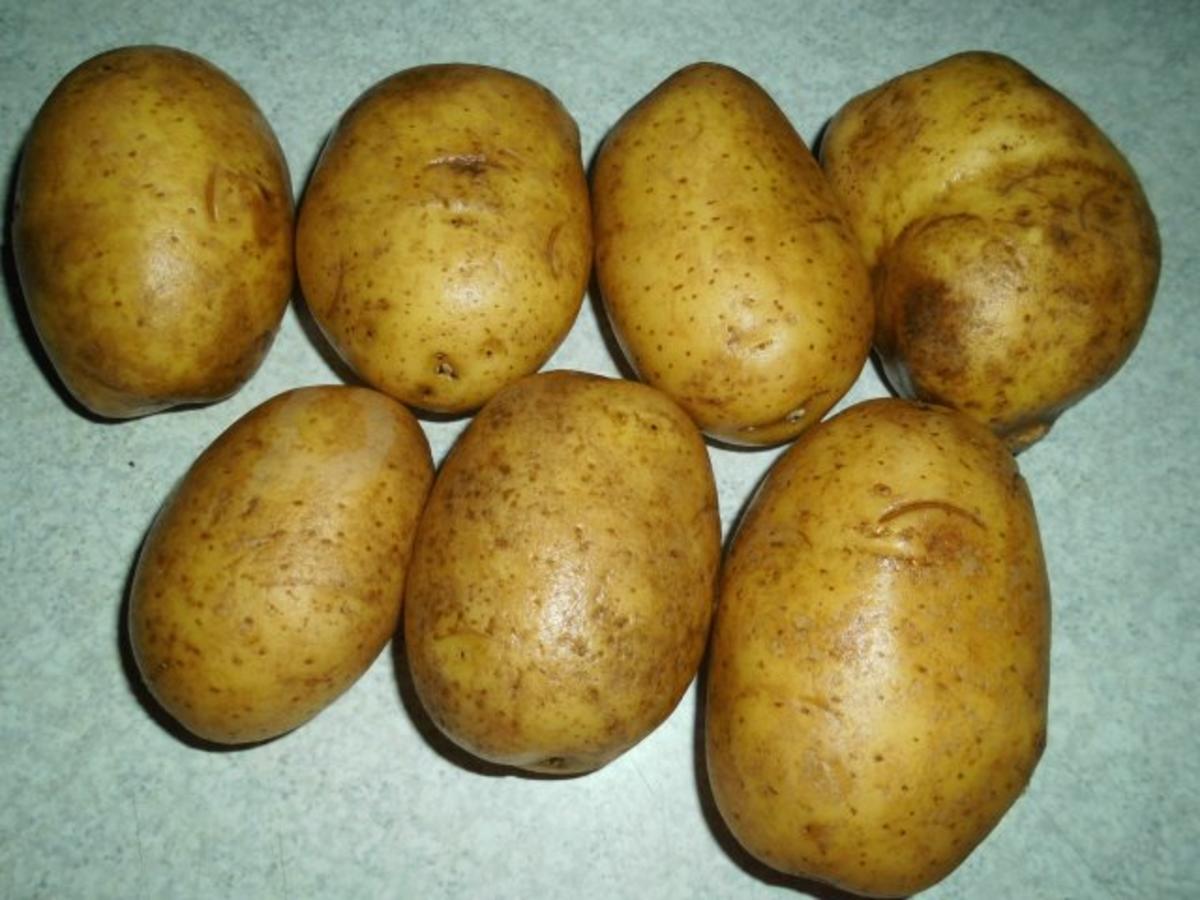 Aufläufe: Kartoffel-Auflauf mit Käse - Rezept - Bild Nr. 3