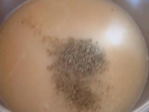 Linsencremesuppe aus gelben Linsen - Rezept - Bild Nr. 9