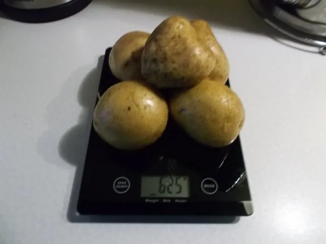 Rezept: Fisch: Kabeljau mit karib. Kartoffelspalten Bild Nr. 3 Fisch: Kabeljau mit karib. Kartoffelspalten - Rezept - Bild Nr. 3