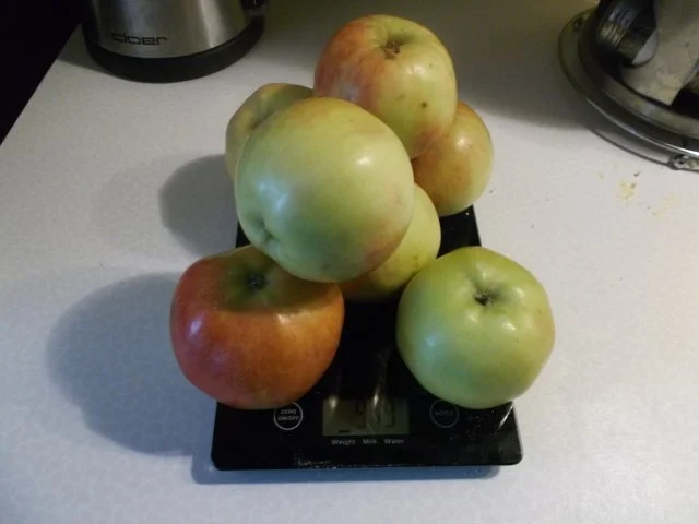 Rezept: Kuchen: Apfelkuchen mit Quark-Schmand-Guss Bild Nr. 9 Kuchen: Apfelkuchen mit Quark-Schmand-Guss - Rezept - Bild Nr. 9