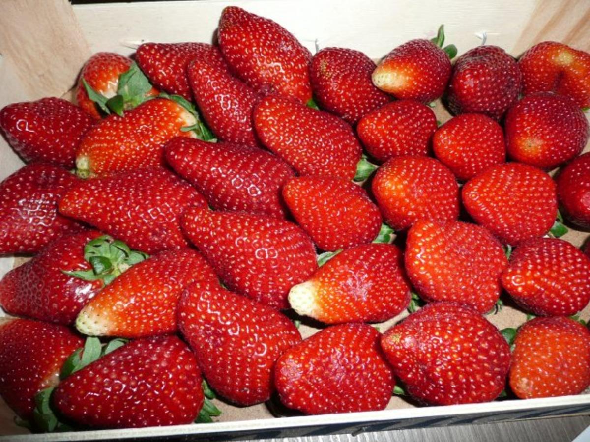 Erdbeere - Frischkäse - Torte - Rezept