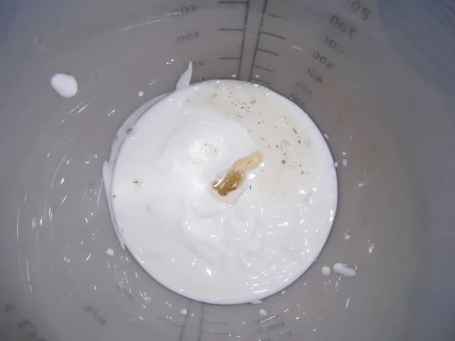 Rettich-Salat mit Äpfeln - Rezept - Bild Nr. 6