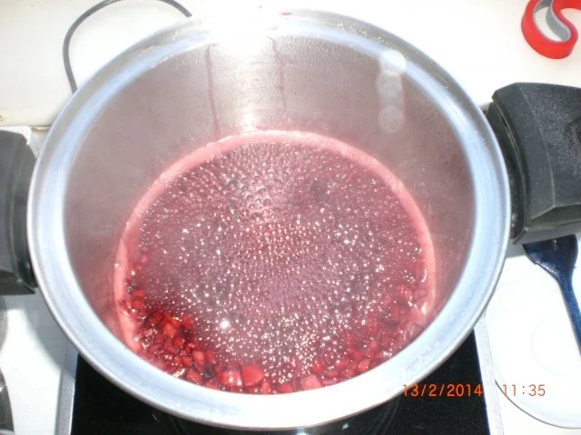 Fliederbeergelee m. Apfelstückchen - Rezept