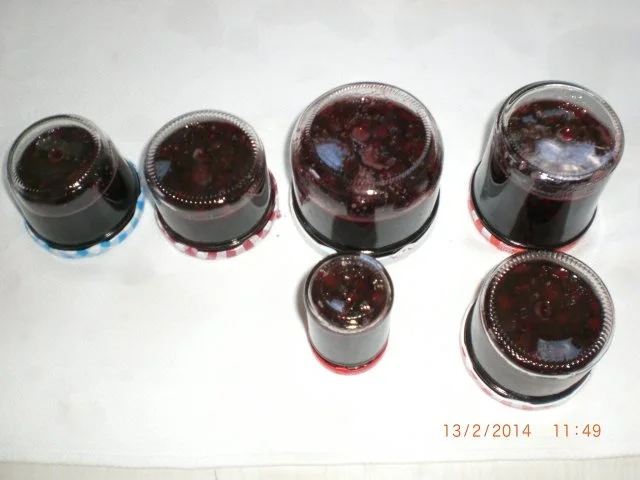 Fliederbeergelee m. Apfelstückchen - Rezept - Bild Nr. 2