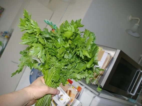 Chimichurri - Rezept