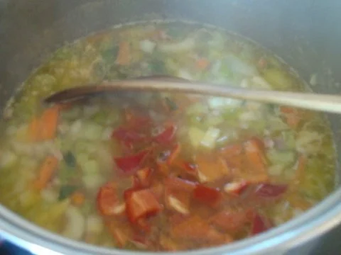 Schweizer Minestrone - Rezept - Bild Nr. 14
