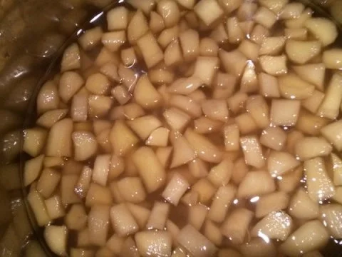 Kandierter Ingwer - Rezept - Bild Nr. 5