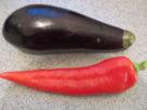 Kochen: Gemüse-Sahne-Sauce für Nudeln - Rezept