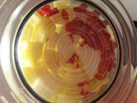 Korma-Curry mit Reis - Rezept - Bild Nr. 5