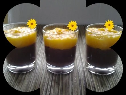 ♥ Schokodessert mit Mangopüree ♥ - Rezept