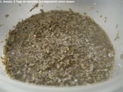 Anstellgut zum Ansetzen von Sauerteig selber herstellen - Rezept