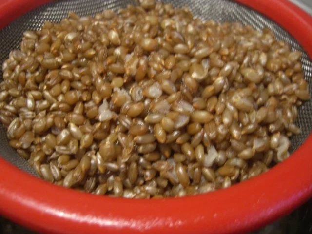 Pumpernickel - Rezept - Bild Nr. 9