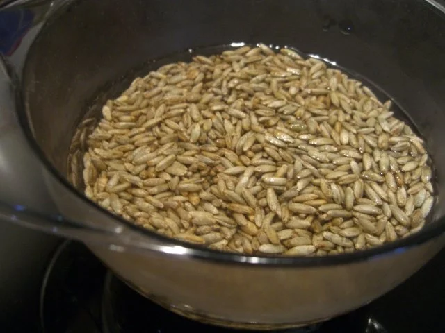 Pumpernickel - Rezept - Bild Nr. 11