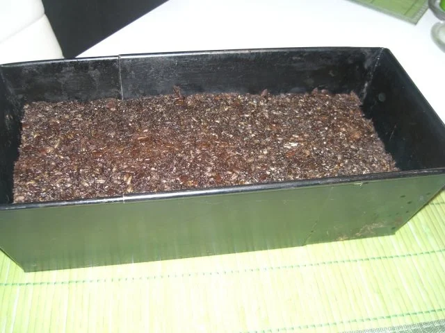 Pumpernickel - Rezept - Bild Nr. 4