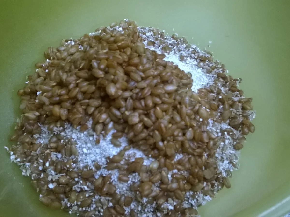 Pumpernickel - Rezept - Bild Nr. 3214