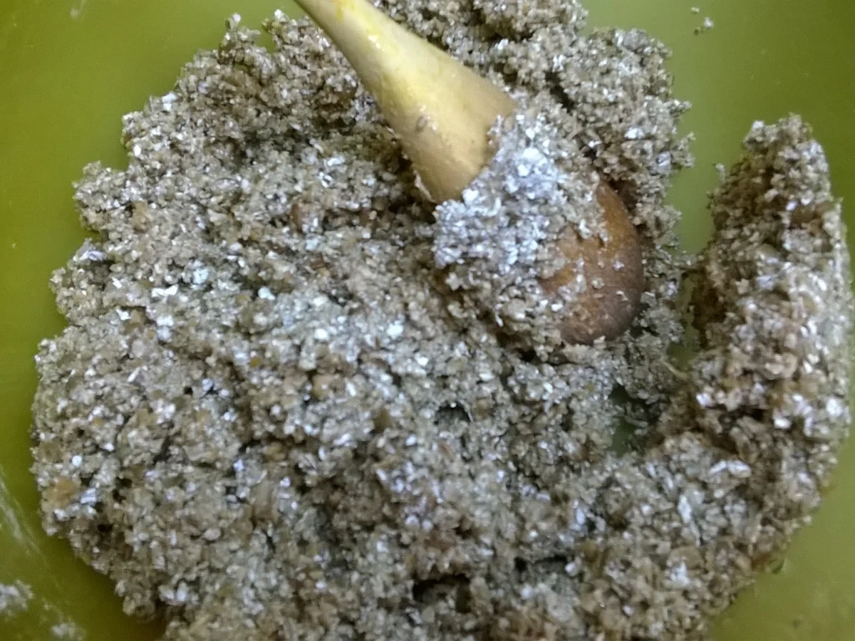 Pumpernickel - Rezept - Bild Nr. 3227