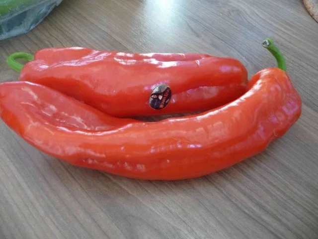 Vegan : Bunter Seitan - Reissalat mit Feldsalat - Rezept - Bild Nr. 6