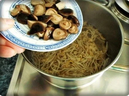 Indonesische Glasnudelsuppe mit Hähnchenfleisch - Rezept - Bild Nr. 6