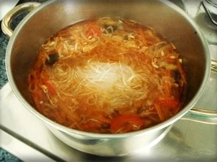 Indonesische Glasnudelsuppe mit Hähnchenfleisch - Rezept - Bild Nr. 22