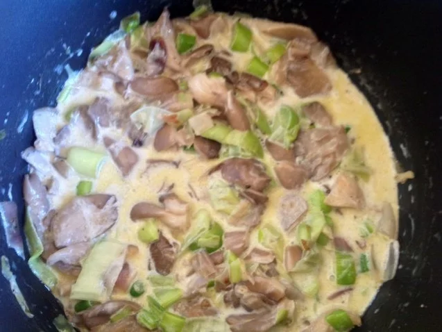 Austernpilze in Sahnesoße - Rezept - Bild Nr. 5