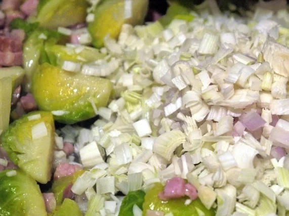 Rezept: Spaghetti mit Rosenkohl-Parmesan-Sauce Bild Nr. 12 Spaghetti mit Rosenkohl-Parmesan-Sauce - Rezept - Bild Nr. 12