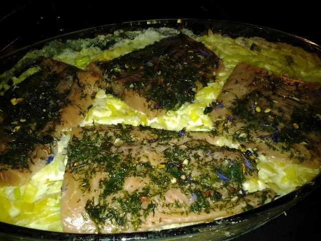 Rezept: Lachs auf Kartoffel- Porree- Bett Bild Nr. 5 Lachs auf Kartoffel- Porree- Bett - Rezept - Bild Nr. 5