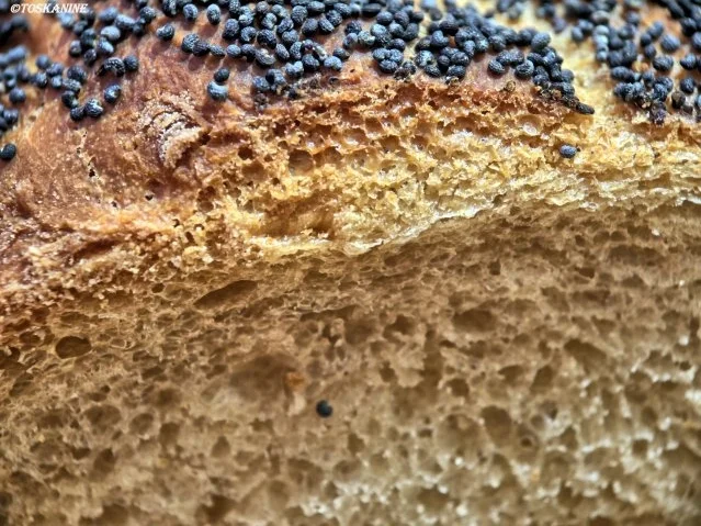 Rezept: Mohn-Weizenbrot Bild Nr. 10 Mohn-Weizenbrot - Rezept - Bild Nr. 10