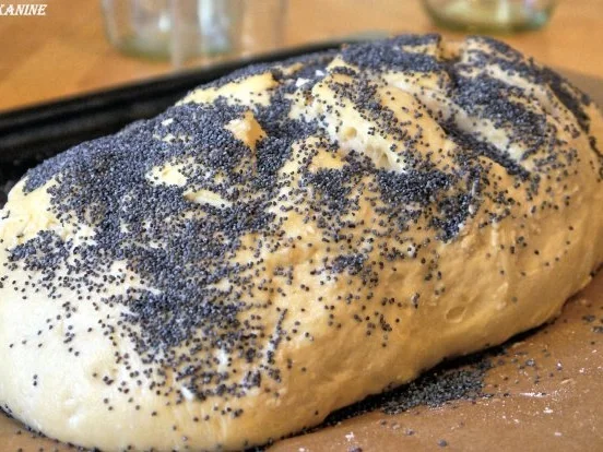 Rezept: Mohn-Weizenbrot Bild Nr. 8 Mohn-Weizenbrot - Rezept - Bild Nr. 8