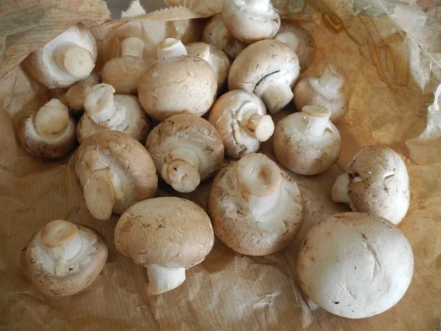 Vegan : Vegane Soljanka - scharfe Sache - Rezept - Bild Nr. 3