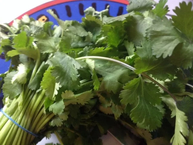 Rezept: Bouletten mit Paranüssen Bild Nr. 5 Bouletten mit Paranüssen - Rezept - Bild Nr. 5