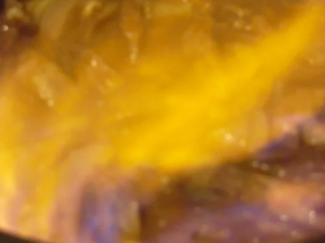 Rezept: Schweine - Nieren in Whisky - Soße Bild Nr. 5 Schweine - Nieren in Whisky - Soße - Rezept - Bild Nr. 5