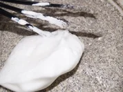 Mohngugelhupf - Rezept