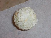 Rezept: Kokos Trüffel Kokos Trüffel - Rezept