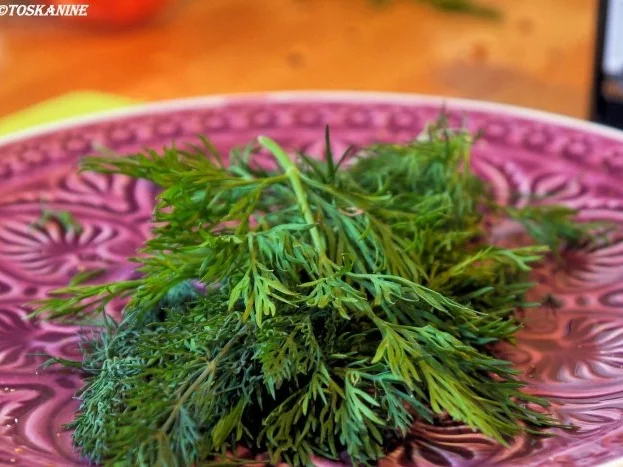 Skrei unter Apfel-Fenchel-Haube mit Gremolata-Tomaten - Rezept - Bild Nr. 8