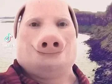 Rezept: Schweinebäckchen in Rotwein - Soße Bild Nr. 8 Schweinebäckchen in Rotwein - Soße - Rezept - Bild Nr. 8