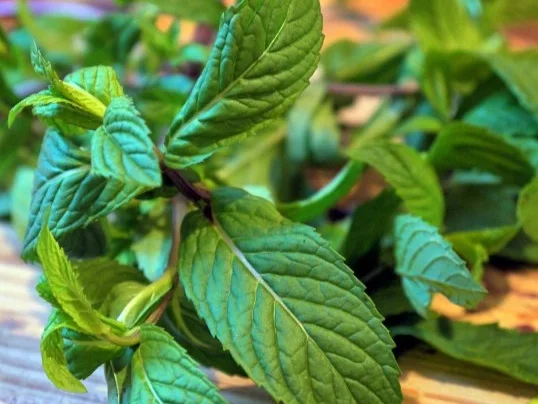 Rezept: Tabouleh mit Sigara Börek Bild Nr. 12 Tabouleh mit Sigara Börek - Rezept - Bild Nr. 12