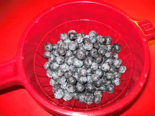 Rezept: Käsekuchen mit Heidelbeeren Bild Nr. 6 Käsekuchen mit Heidelbeeren - Rezept - Bild Nr. 6