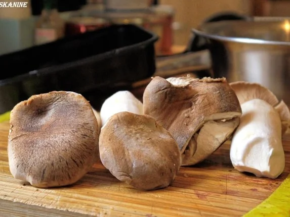 Rezept: Kalbsgulasch mit Kräuterseitlingen, dazu Schupfnudeln Bild Nr. 13 Kalbsgulasch mit Kräuterseitlingen, dazu Schupfnudeln - Rezept - Bild Nr. 13