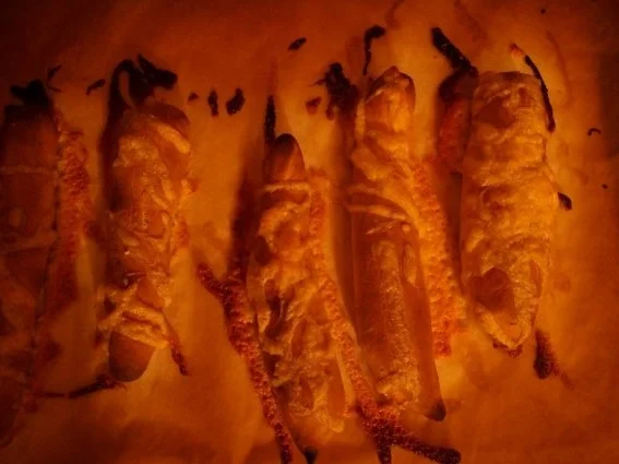 Pizzastangerl - Rezept - Bild Nr. 3