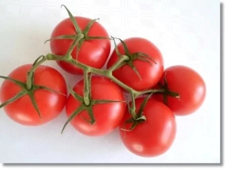 Rezept: Erfrischender Gemüse – Smoothie (ړײ) Bild Nr. 6 Erfrischender Gemüse – Smoothie (ړײ) - Rezept - Bild Nr. 6