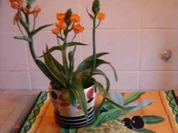 Spinatkuchen - Rezept